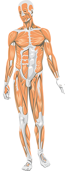 Kore Therapy Treatments